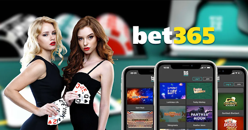 Hướng dẫn cách trải nghiệm Casino bet365 cho người mới